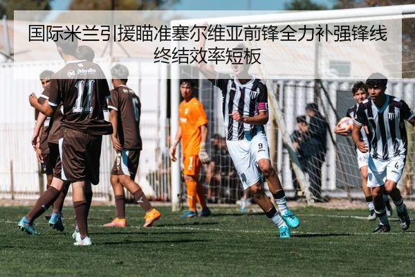 国际米兰引援瞄准塞尔维亚前锋全力补强锋线终结效率短板